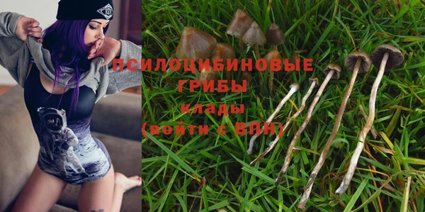меф Бородино