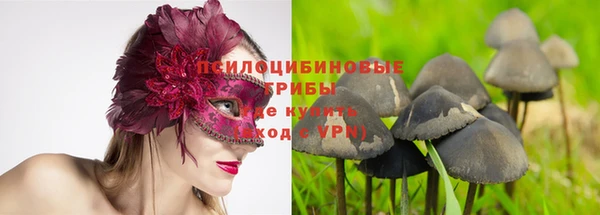 прущая мука Бугульма