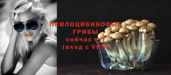 прущая мука Бронницы